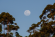 L’Australie est plus large que la lune