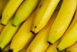 Les bananes sont radioactives